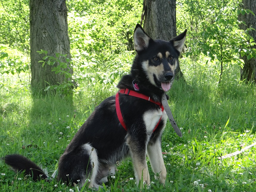 DSC06870.JPG