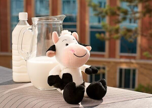 Ngoài sữa công thức, bé 1 tuổi cũng đã có thể uống sữa tươi