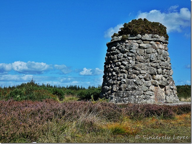 Culloden Moor 7