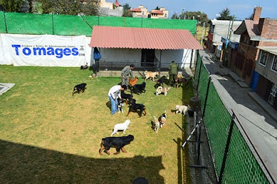 Photos of Criadero Tomages