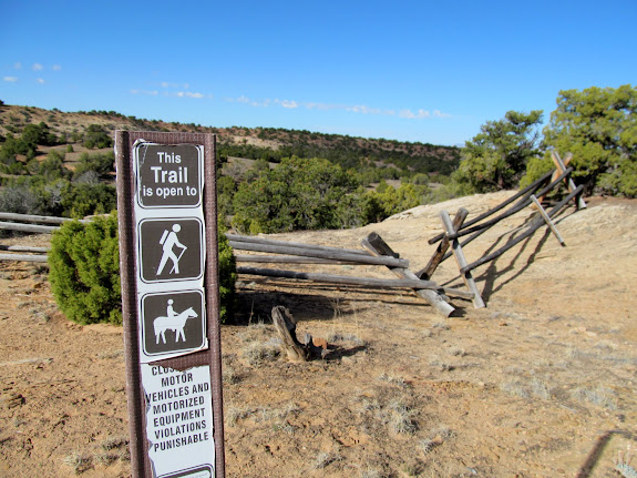 Shh, don't tell anyone I took dogs on the trail