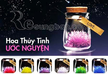 Bán buôn bán lẻ bình hoa thủy tinh ước nguyện Hoa%2520uoc%2520nguyen%252002