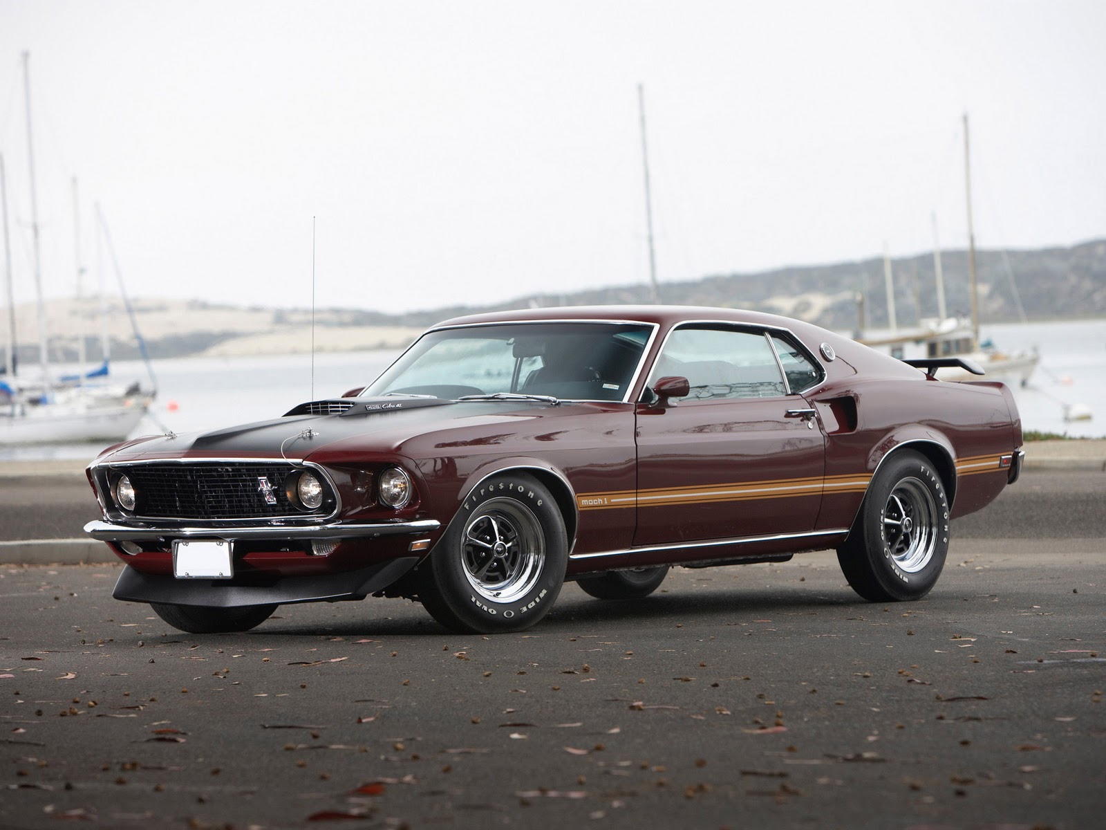 1969 Ford Mach 1 Specs Image Amseek search