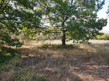 terrain à Clermont-l'herault (34)