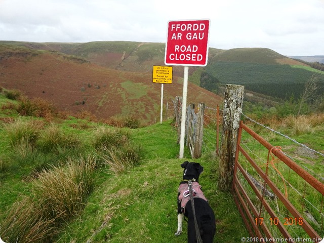don't drive! llandovery 127