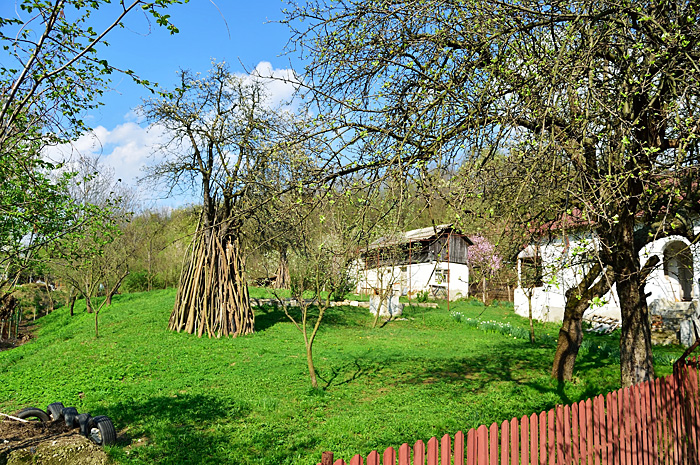 Ștefănești