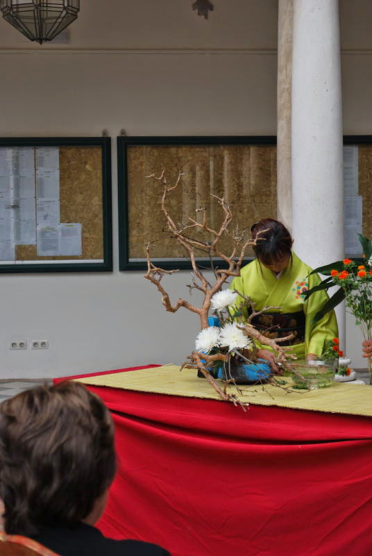 XXV Exposición de Primavera de la Asociación Cordobesa de Bonsái. 149+Demostraci%25C3%25B3n+de+Ikebana+a+cargo+de+la+Sra.+Michiko+Iwakura+y+Miguel+%25C3%2581ngel+Gonz%25C3%25A1lez+20130519+167+DSC_0301