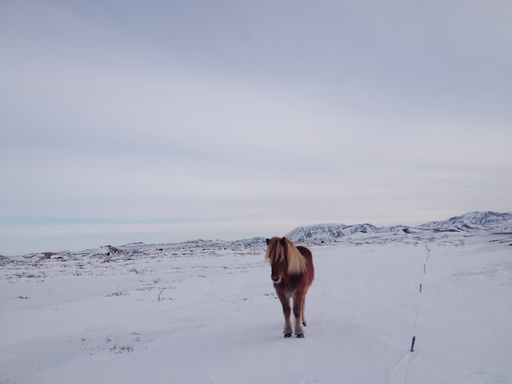 Icelandic Road Stops. Photographer Ashley Swinton