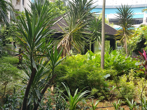 Dunman High School