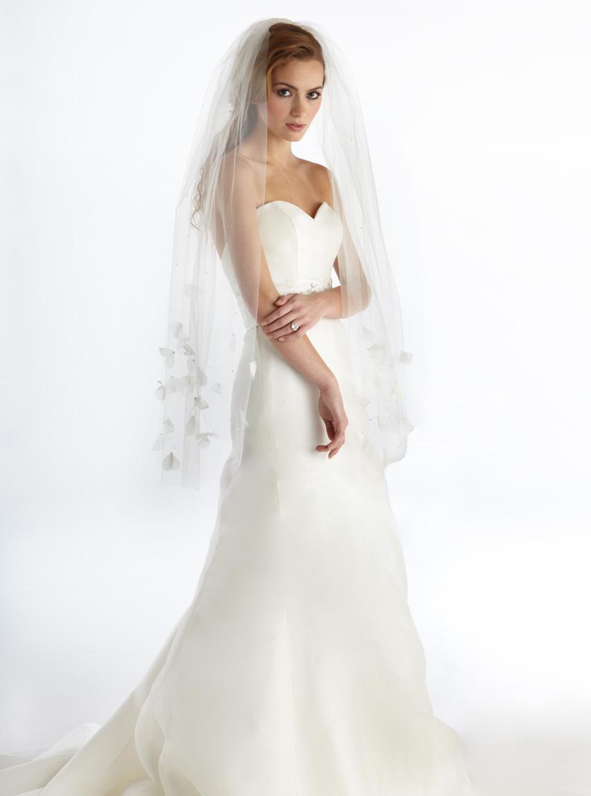 Is this veil idea too much for