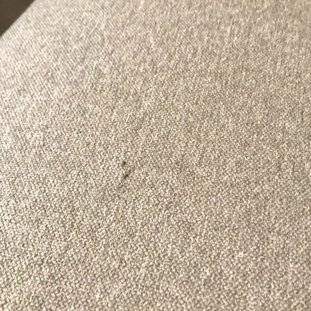 Contemporary Side Chair Pair