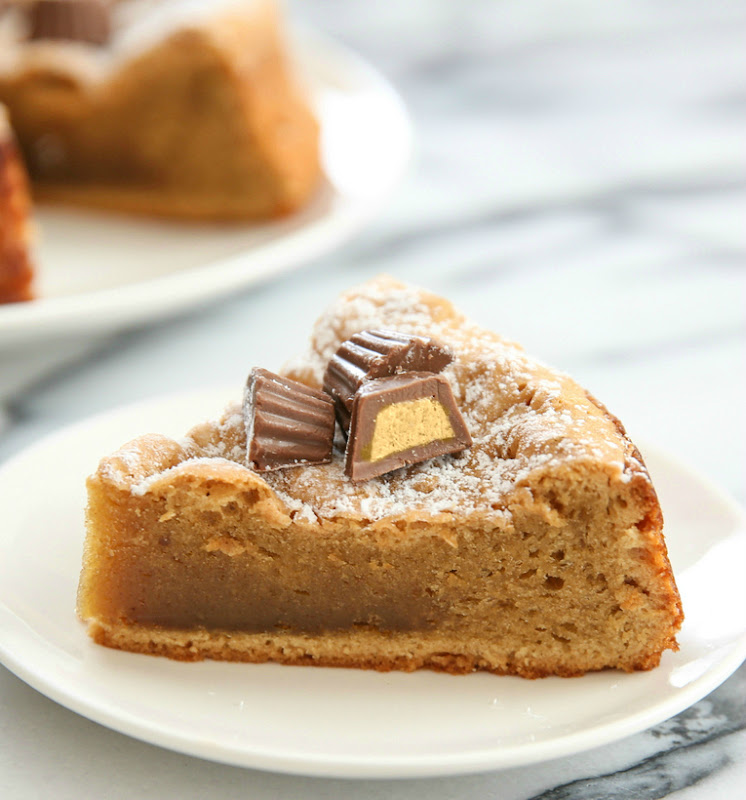 close-up photo of a slice of cake on a white plate