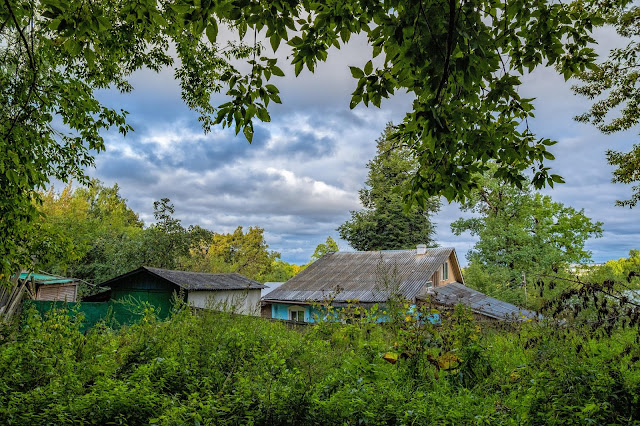 Деревянный домики утопающие в зелени