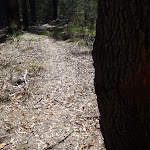 Faint track to Field Study Huts (103603)