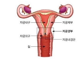 파일:attachment/3534636.jpg