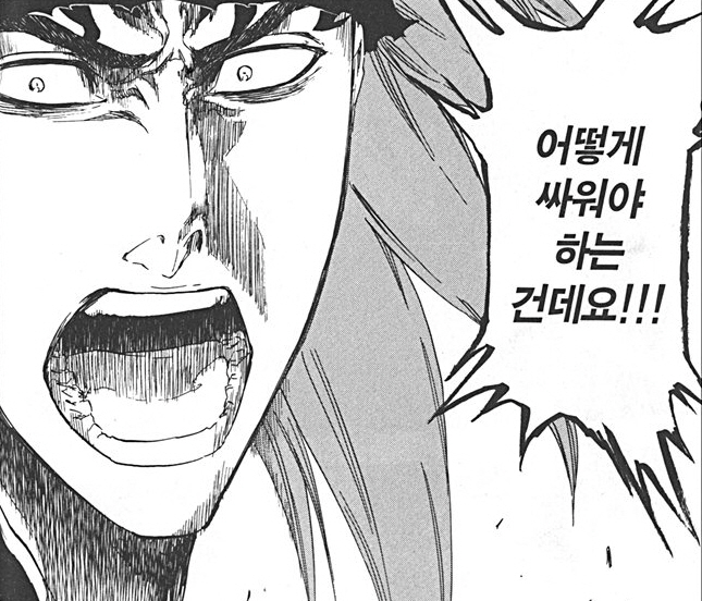 파일:attachment/Bleach_-_Renji_(15).jpg