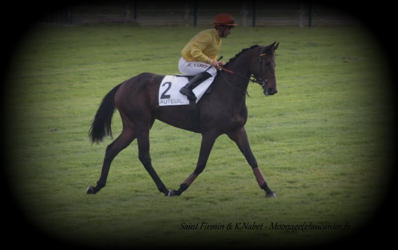 Photos Auteuil 11-10-2015 IMG_5460