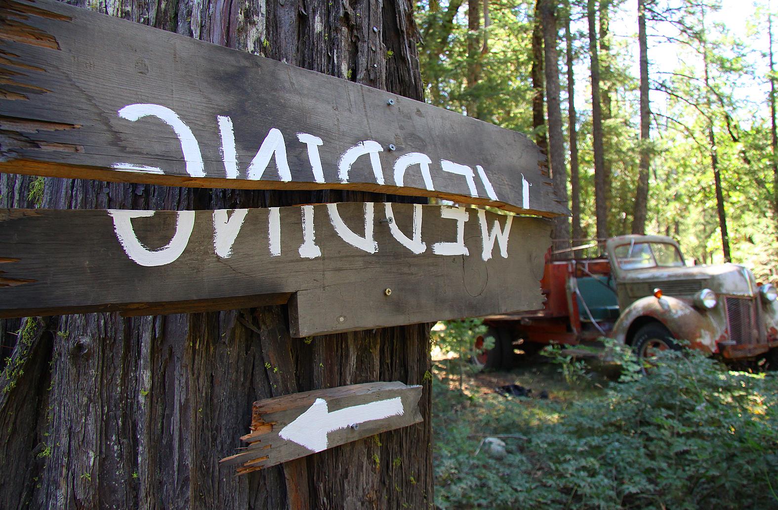 woodsy wedding centerpieces