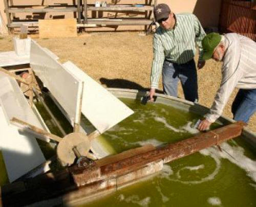 Companies Producing Algae Biodiesel Fuel