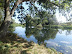 River Ouse beyond Little Paxton Nature Reserve