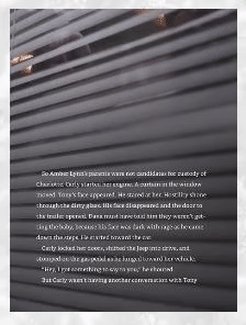 blinds blinds