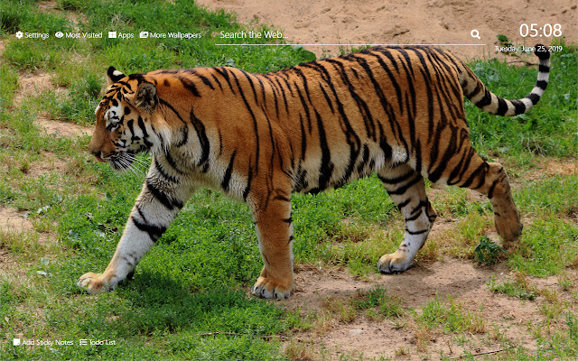 Zoos Tapeta HD Nová karta Téma