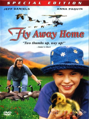 Movie Chắp Cánh Bay Xa - Fly Away Home (1996)