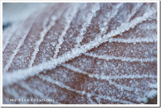 Frost_close-up_03