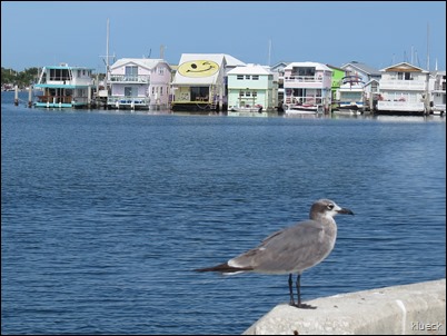 houseboat row