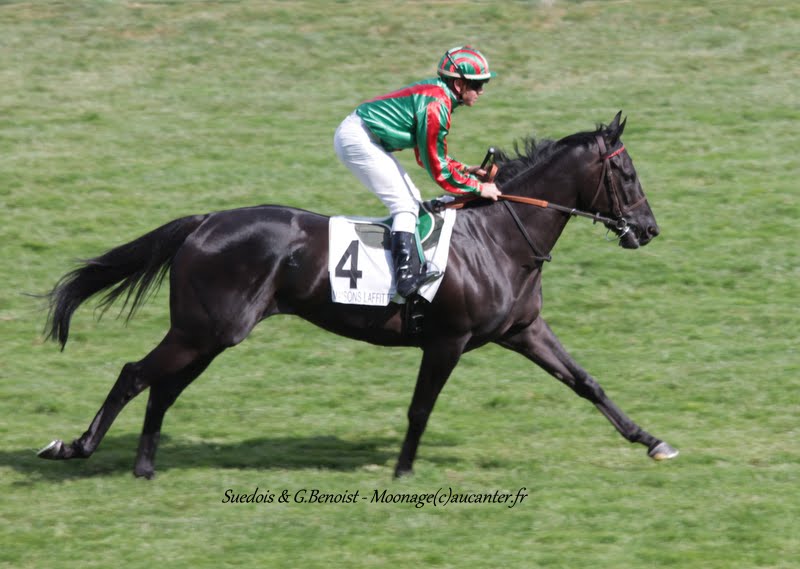 Photos Maisons-Laffitte 5-07-2015 IMG_2509