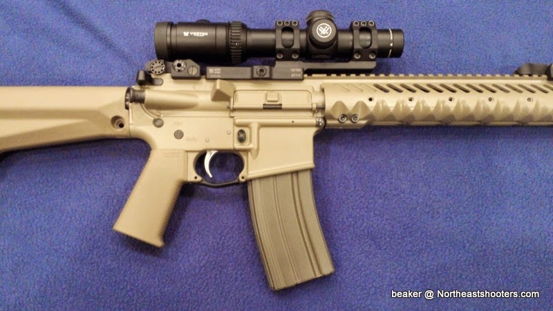 300BLK_wOptic_7.jpg