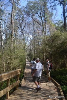 Boardwalk