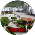 Tarata