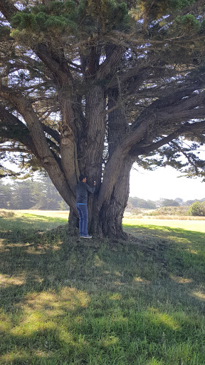 Golf Course «Sea Ranch Golf Links», reviews and photos, 42000 CA-1, Sea Ranch, CA 95497, USA