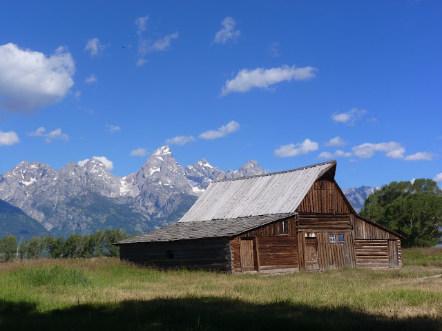 Grand Teton: Mormon Row. Regreso a Calgary y vuelta a casa. 16 y 17 Julio - LAS ROCOSAS DE CANADA. YELLOWSTONE Y GRAND TETON. (12)