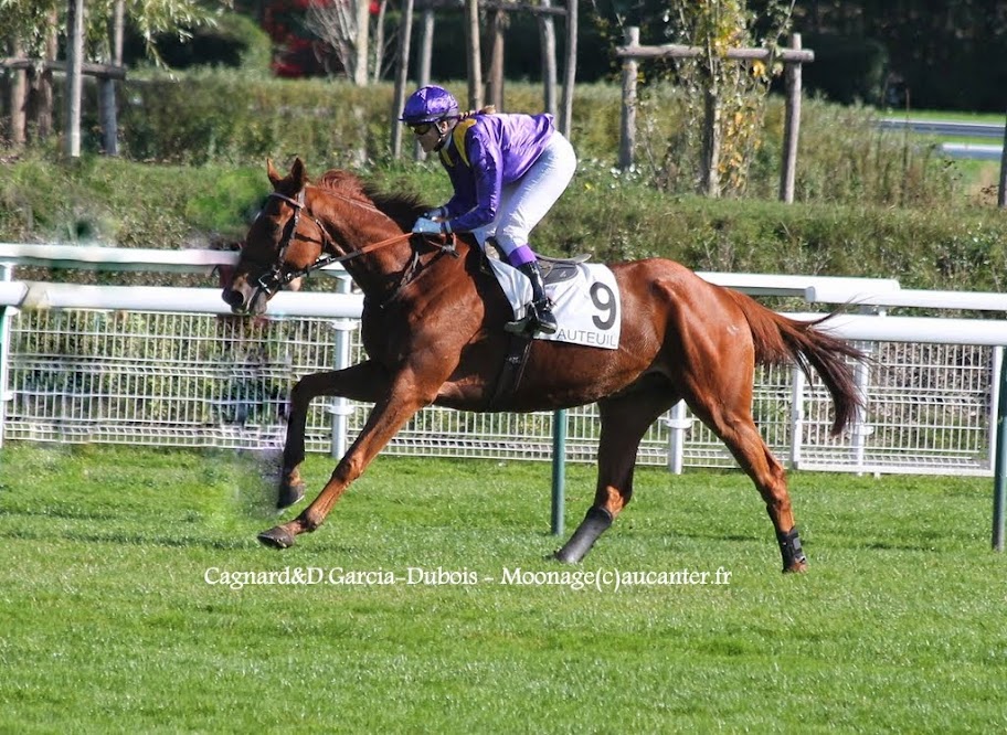 Photos Auteuil 18-10-2014 IMG_4913