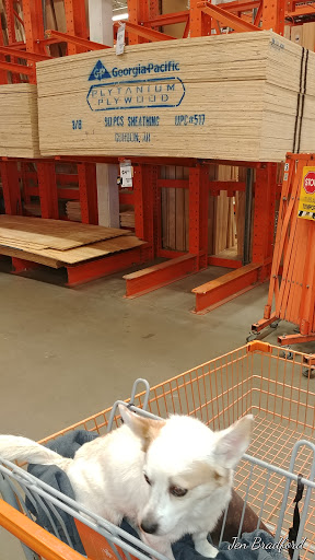 Home Improvement Store «The Home Depot», reviews and photos, 2021 Harrodsburg Rd, Lexington, KY 40504, USA