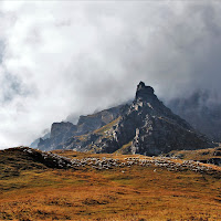 Ultimi giorni al pascolo di 