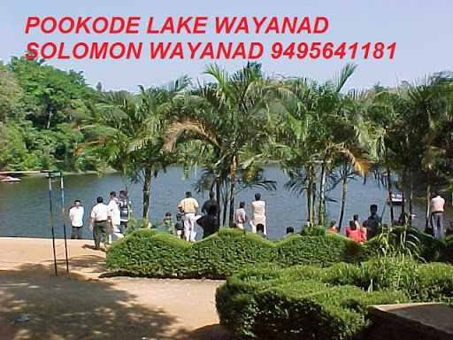 wayanad tour guide 9656960900, solomon, charuvilaputhen veedu,, chulliyode (p o), bathery, Sultan Bathery, Kerala 673592, India, Tourist_Attraction, state KL