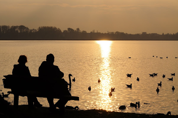 godersi il tramonto di flori