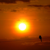 Solo nell'immenso arancione di 