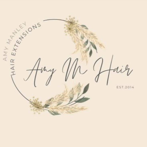 Amy M Hair Extensions logo