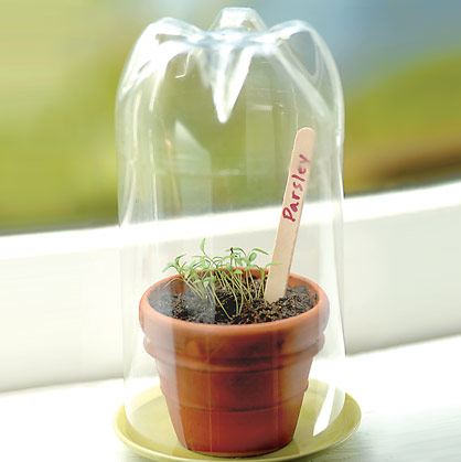 Idea para proteger las plantas.