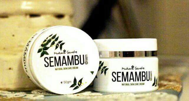 SIAPA SAYA? SAYALAH: Lotion Daun Semambu / bamboo 