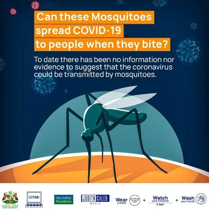 To Date There Have Been No Evidence That proves that corona virus can be transmitted by mosquitoes.