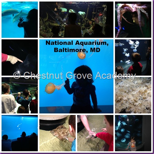 National Aquarium