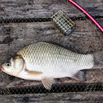 20140629_Fishing_Bochanytsia_008.jpg