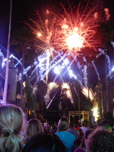 Frozen Frenzy at Disney World: fireworks display set to the music of Frozen, accompanying the story as told by Anna, Elsa, Kristoff, and Olaf.