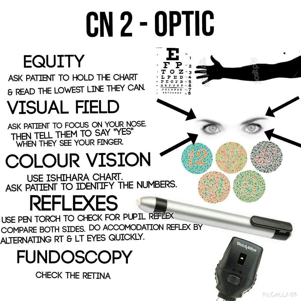 Traumagency: Cranial Nerve Examination