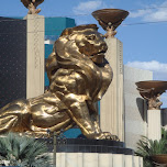  in Las Vegas, United States 